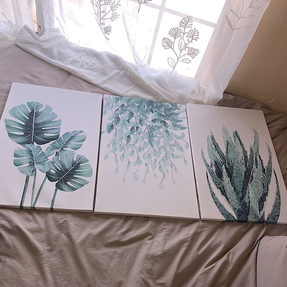 Canvas Wall Art Decor Succulent Plant Set of 3 Size 16” by 24”